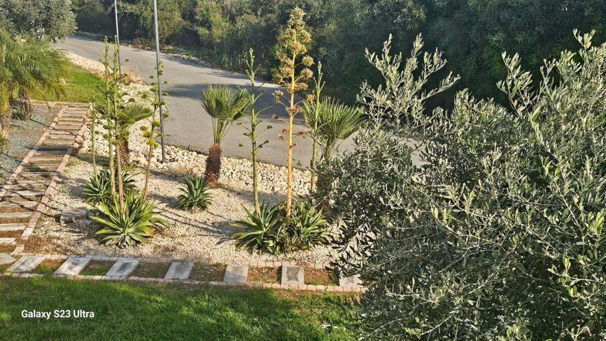 Beachfront Luxury Idania Willa Ajia Napa